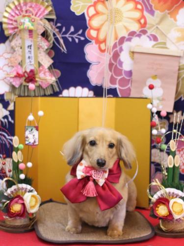 20240114モカちゃん